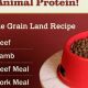 Best Whole Grain Land Recipe Dog Food 4lb for Your Pup! | World’s Most Delicious Foods: Must-Try Dishes from Every Country