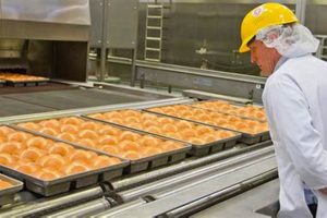 Georgia's Food Industry Giants: Origins & Impact | World’s Most Delicious Foods: Must-Try Dishes from Every Country