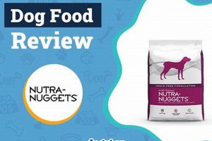 Nutra Nuggets Dog Food: Reviews & Is It Right For Your Dog? | World’s Most Delicious Foods: Must-Try Dishes from Every Country