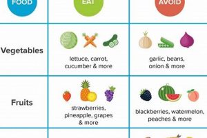 Deliciously Low FODMAP: Enjoy Indian Food, Gut-Friendly! | World’s Most Delicious Foods: Must-Try Dishes from Every Country