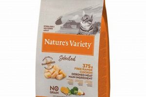 Best Nature's Variety Cat Food: Reviews & Benefits | World’s Most Delicious Foods: Must-Try Dishes from Every Country