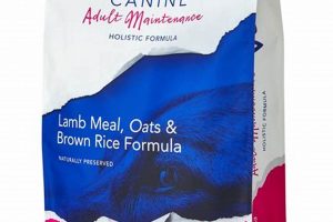 Best Verus Dog Food? | Reviews & Alternatives | World’s Most Delicious Foods: Must-Try Dishes from Every Country