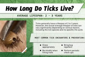 Tick Survival: How Long Can a Tick Live Without Food? | World’s Most Delicious Foods: Must-Try Dishes from Every Country