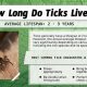 Tick Survival: How Long Can a Tick Live Without Food? | World’s Most Delicious Foods: Must-Try Dishes from Every Country