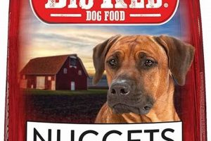 Best Big Red Dog Food: Reviews &amp; Alternatives! | World’s Most Delicious Foods: Must-Try Dishes from Every Country