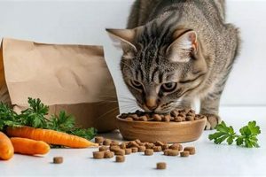 Best Food for Tabby Cats: Fueling Your Striped Friend! | World’s Most Delicious Foods: Must-Try Dishes from Every Country