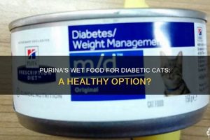 Best Good Wet Cat Food for Diabetic Cats Today! | World’s Most Delicious Foods: Must-Try Dishes from Every Country
