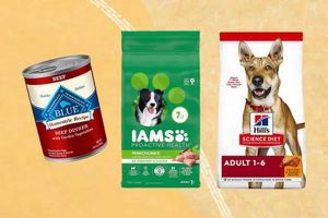 The Best Puppy Food for Aussies: Top Picks & Guide | World’s Most Delicious Foods: Must-Try Dishes from Every Country