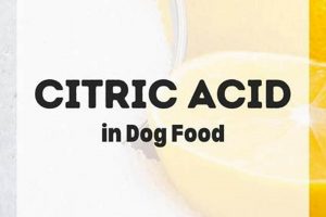 Is Citric Acid in Dog Food Safe? Benefits & Risks | World’s Most Delicious Foods: Must-Try Dishes from Every Country
