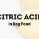 Is Citric Acid in Dog Food Safe? Benefits & Risks | World’s Most Delicious Foods: Must-Try Dishes from Every Country