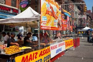 NYC Food Fest: Taste the World at the International Festival | World’s Most Delicious Foods: Must-Try Dishes from Every Country