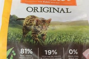Honest Instinct Cat Food Reviews: Is It Good? | World’s Most Delicious Foods: Must-Try Dishes from Every Country