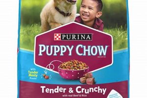 Best Beef Puppy Dog Food: Your Growing Pup's Choice | World’s Most Delicious Foods: Must-Try Dishes from Every Country