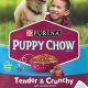 Best Beef Puppy Dog Food: Your Growing Pup's Choice | World’s Most Delicious Foods: Must-Try Dishes from Every Country