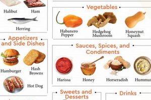 Delicious! Food That Starts With H + Recipes | World’s Most Delicious Foods: Must-Try Dishes from Every Country