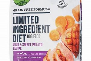 Best Open Nature Dog Food: Your Dog's Natural Diet Guide | World’s Most Delicious Foods: Must-Try Dishes from Every Country