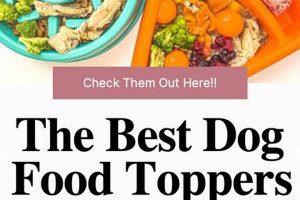 Boost Your Pup: Healthy Food Toppers for Dogs' Diet World’s Most Delicious Foods: Must-Try Dishes from Every Country Boost Your Pup: Healthy Food Toppers for Dogs' Diet | World’s Most Delicious Foods: Must-Try Dishes from Every Country