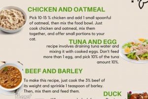 Feeding Your Fluff: Best Food for a Happy Persian Cat World’s Most Delicious Foods: Must-Try Dishes from Every Country Feeding Your Fluff: Best Food for a Happy Persian Cat | World’s Most Delicious Foods: Must-Try Dishes from Every Country