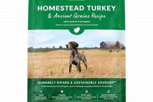 Best Open Farm Turkey Dog Food: A Healthy Choice For Your Dog World’s Most Delicious Foods: Must-Try Dishes from Every Country Best Open Farm Turkey Dog Food: A Healthy Choice For Your Dog | World’s Most Delicious Foods: Must-Try Dishes from Every Country
