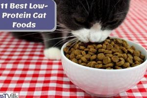 Best Low Protein Cat Food: Diet & Health Tips World’s Most Delicious Foods: Must-Try Dishes from Every Country Best Low Protein Cat Food: Diet & Health Tips | World’s Most Delicious Foods: Must-Try Dishes from Every Country