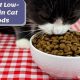 Best Low Protein Cat Food: Diet & Health Tips | World’s Most Delicious Foods: Must-Try Dishes from Every Country