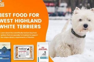 Top Westie Bites: Best Dog Food for West Highland Terriers Guide World’s Most Delicious Foods: Must-Try Dishes from Every Country Top Westie Bites: Best Dog Food for West Highland Terriers Guide | World’s Most Delicious Foods: Must-Try Dishes from Every Country