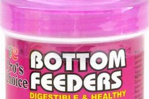 Best Fish Food Bottom Feeders: Guide & Reviews | World’s Most Delicious Foods: Must-Try Dishes from Every Country