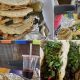 Taste of Mexico: Martina's Authentic Mexican Food Near You | World’s Most Delicious Foods: Must-Try Dishes from Every Country
