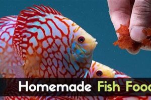 DIY Homemade Fish Food: Save Money, Feed Better! | World’s Most Delicious Foods: Must-Try Dishes from Every Country