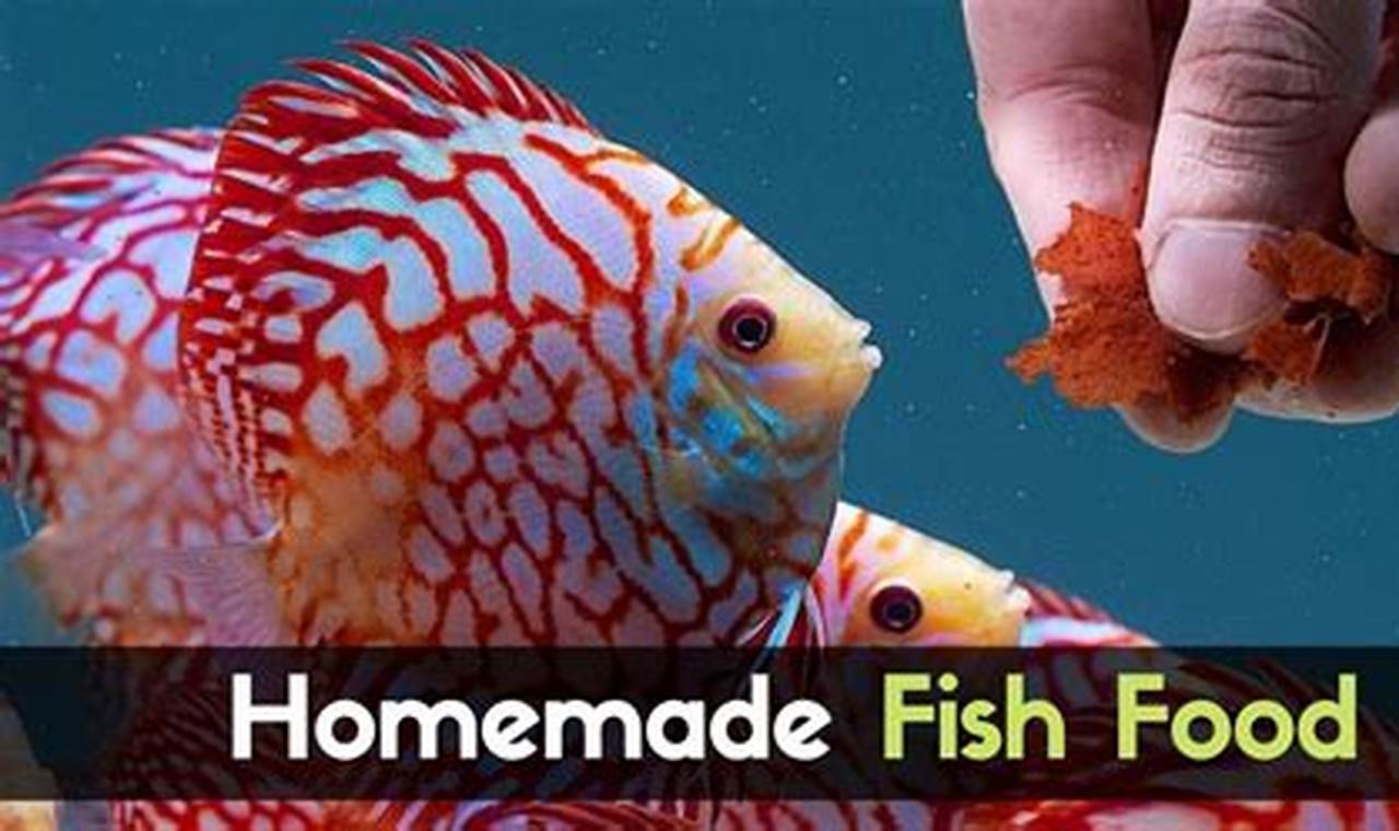 DIY Homemade Fish Food: Save Money, Feed Better! | World’s Most Delicious Foods: Must-Try Dishes from Every Country