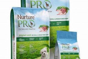 Best Nature Farms Dog Food: Reviews & Benefits for Your Dog | World’s Most Delicious Foods: Must-Try Dishes from Every Country