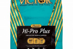 Best Victor High Pro Plus Dog Food: Fuel Your Dog's Performance! | World’s Most Delicious Foods: Must-Try Dishes from Every Country
