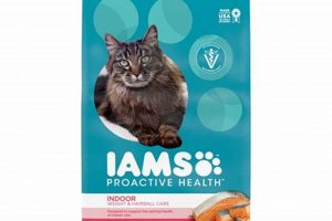Best IMS Cat Food: Reviews &amp; Expert Buying Guide | World’s Most Delicious Foods: Must-Try Dishes from Every Country