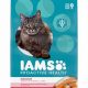 Best IMS Cat Food: Reviews &amp; Expert Buying Guide | World’s Most Delicious Foods: Must-Try Dishes from Every Country