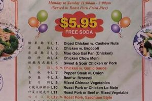 Best Chinese Food in Spring Hill, FL: Your Guide! | World’s Most Delicious Foods: Must-Try Dishes from Every Country