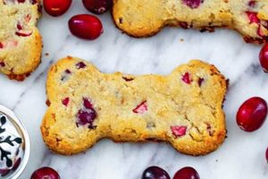 Best Cranberry Dog Food: Benefits &amp; Brands Guide | World’s Most Delicious Foods: Must-Try Dishes from Every Country
