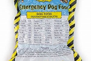 Best Emergency Dog Food: Prep For Your Dog Now! World’s Most Delicious Foods: Must-Try Dishes from Every Country Best Emergency Dog Food: Prep For Your Dog Now! | World’s Most Delicious Foods: Must-Try Dishes from Every Country