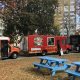 Memphis Food Truck Scene: Your Guide to TN Eats! | World’s Most Delicious Foods: Must-Try Dishes from Every Country