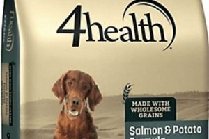 4health Dog Food: Is It Good? Plus Brand Review! | World’s Most Delicious Foods: Must-Try Dishes from Every Country
