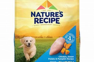 Best Poultry-Free Puppy Food: Brands & Info! | World’s Most Delicious Foods: Must-Try Dishes from Every Country