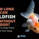 Can a Goldfish Survive? How Long Can a Goldfish Live Without Food? Care Guide | World’s Most Delicious Foods: Must-Try Dishes from Every Country