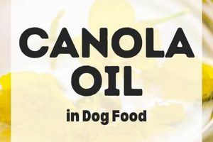 Is Canola Oil Good in Dog Food? Benefits & Risks | World’s Most Delicious Foods: Must-Try Dishes from Every Country