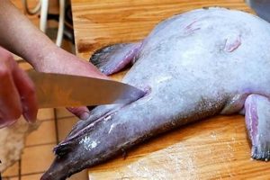 Deep-Sea Angler Fish Food: Diet, Lures &amp; More! | World’s Most Delicious Foods: Must-Try Dishes from Every Country