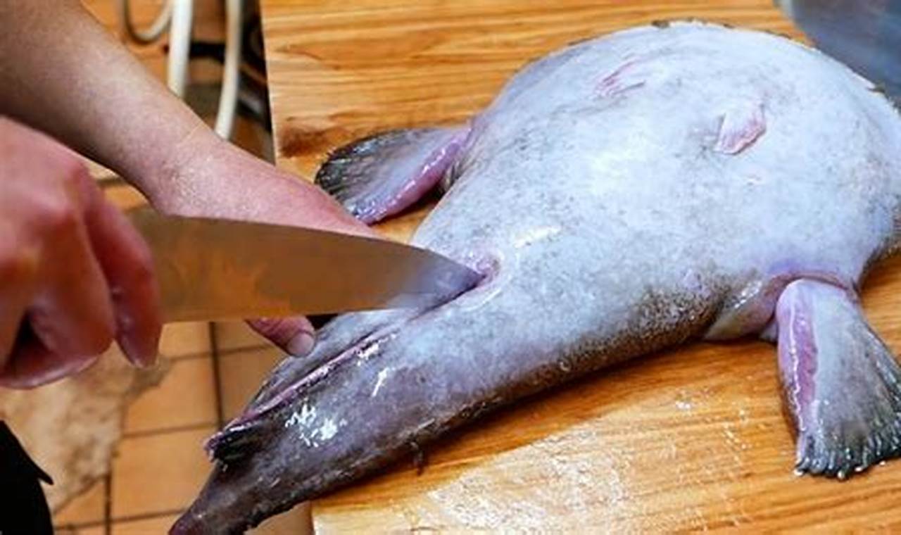 Deep-Sea Angler Fish Food: Diet, Lures &amp; More! | World’s Most Delicious Foods: Must-Try Dishes from Every Country