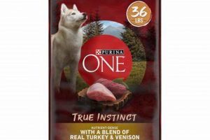 Best Venison Dog Food: Healthy & Tasty! | World’s Most Delicious Foods: Must-Try Dishes from Every Country