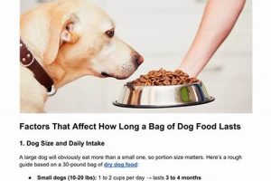 Dog Food Shelf Life: How Long Does a Bag of Dog Food Last? | World’s Most Delicious Foods: Must-Try Dishes from Every Country