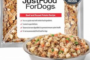 Best Frozen Food for Dogs: Healthy &amp; Fresh Meals | World’s Most Delicious Foods: Must-Try Dishes from Every Country