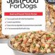 Best Frozen Food for Dogs: Healthy &amp; Fresh Meals | World’s Most Delicious Foods: Must-Try Dishes from Every Country