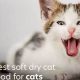 Best Soft Food for Cats with No Teeth: Senior &amp; Dental Care | World’s Most Delicious Foods: Must-Try Dishes from Every Country