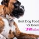 Top Rated: Best Dog Food for Boxers (2024 Guide) | World’s Most Delicious Foods: Must-Try Dishes from Every Country